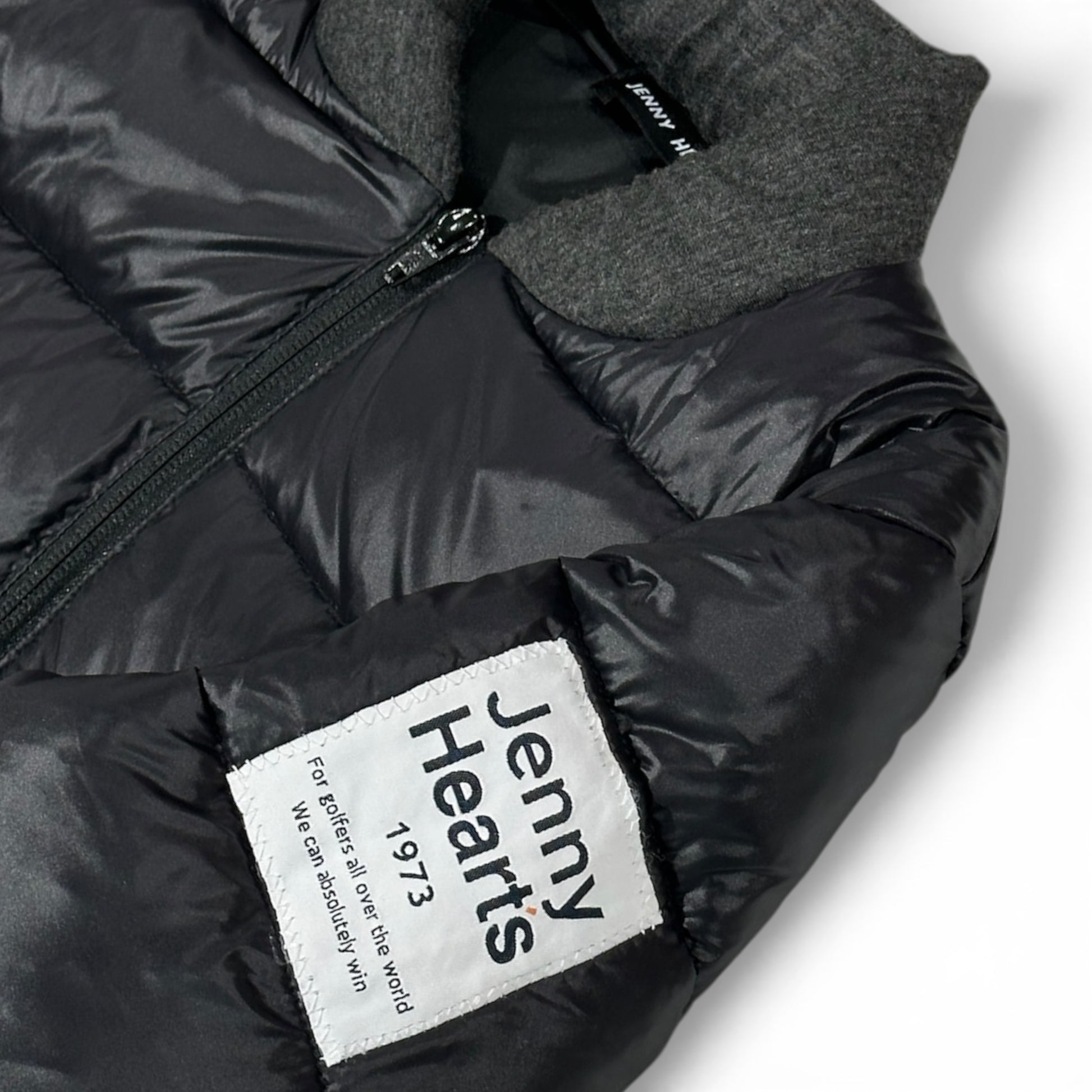 Archive One Shield Blouson メンズブルゾン 中綿ジャケット 冬 防寒  限定商品